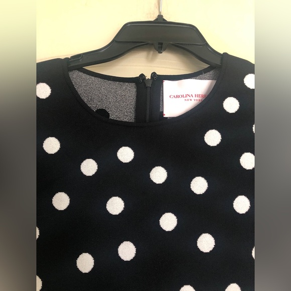 Carolina Herrera Polka Dot Fit-&-Flare Dress - Picture 9 of 16